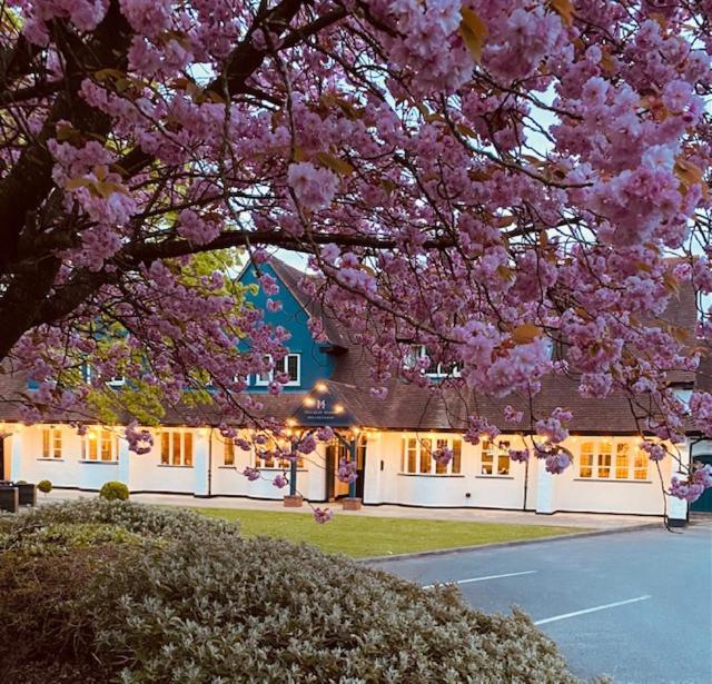 Hotel Hockley House Hockley Heath Exterior foto